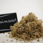 Guimauve